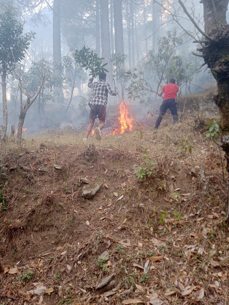 कालीमठ घाटी क्षेत्र के जंगलों में भीषण आग से लाखों की वन सम्पदा स्वाहा  
