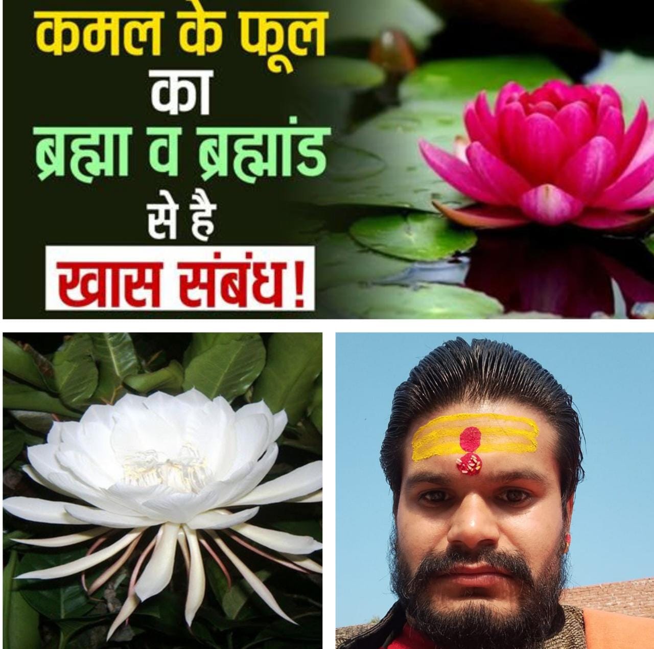 कमल का फूल, जानिए क्यों है हिन्दू धर्म में महत्वपूर्ण, कमल के फूल का ब्रह्मा व ब्रह्मांड से है खास संबंध     