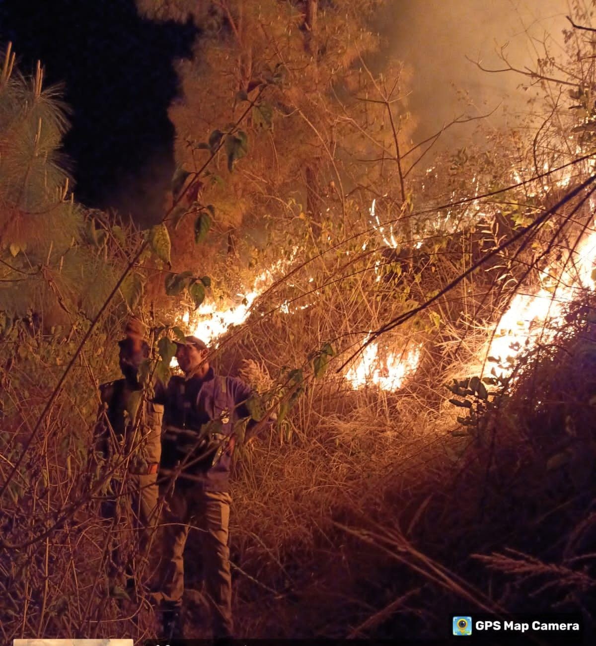 खिर्सू विकास खण्ड क्षेत्र के जंगलों में आग से जलकर खाक हुई वन सम्पदा