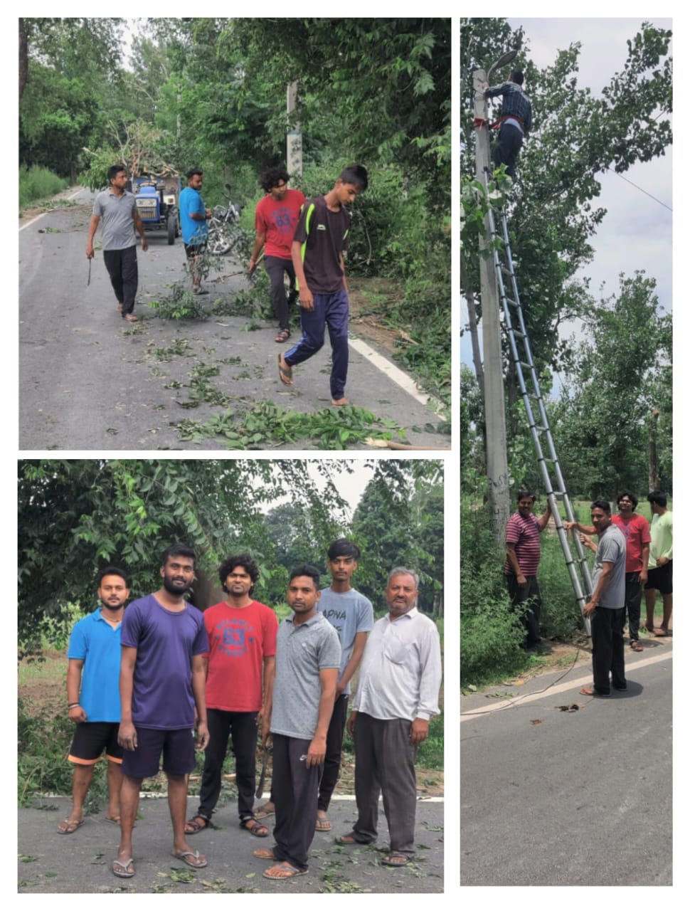 तूफान के चलते सड़कों पर गिरे पेड़ों को जनसेवा टीम अलीपुर ने हटाया
