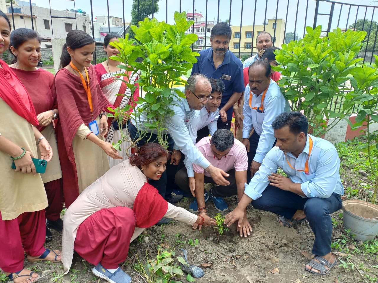 सरस्वती विद्या मंदिर भेल में हर्षोल्लास से मनाया गया लोक पर्व हरेला