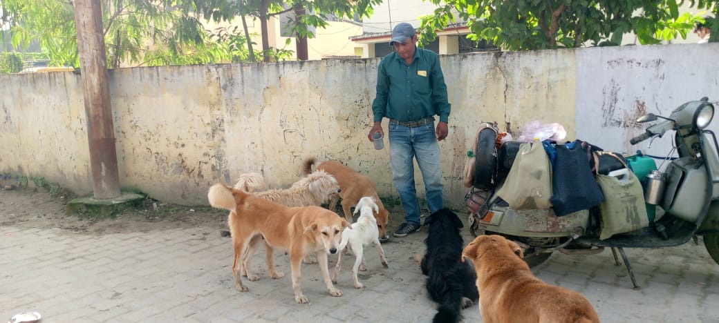 बेजुबान बेसहारा निराश्रित आवारा घुमक्कड़ कुत्तों को दूध पिलाने वाले शख्स को सलाम          