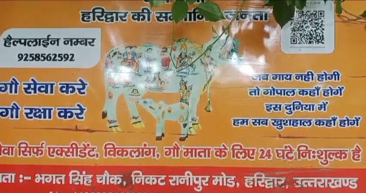 गौ सेवा दल ने दिलाया घायल गाय को उपचार