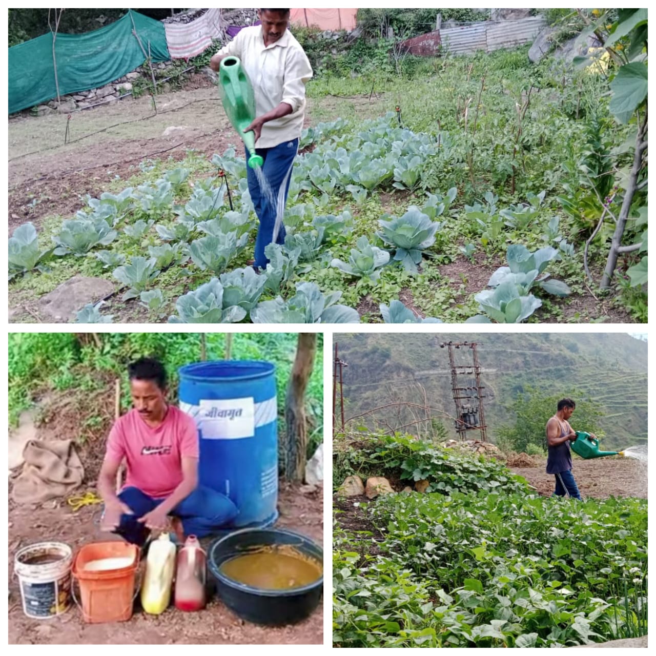 प्राकृतिक खेती कर लोगों के लिए रमेश मिनान बने प्रेरणास्रोत            